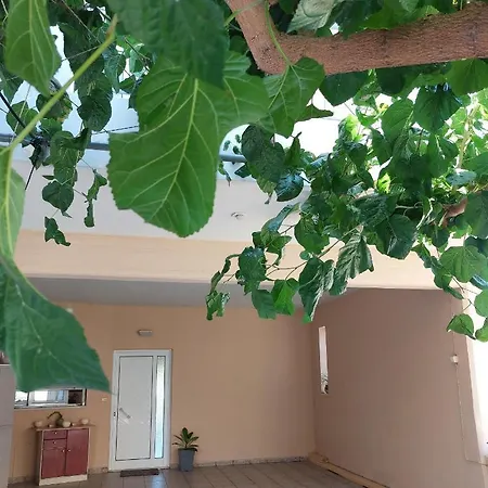 Argy Cozy Apartment Chania  Exterior photo