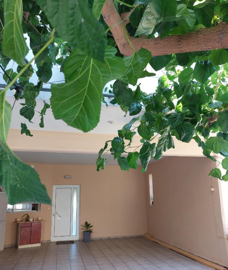 Argy Cozy * Chania (Crete)