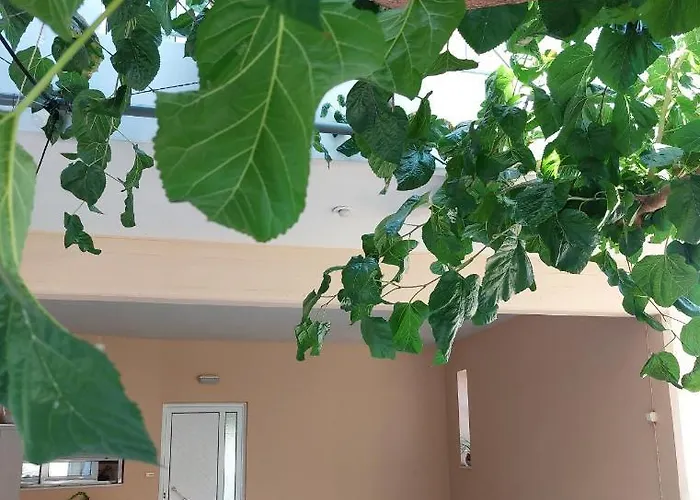 Argy Cozy Apartment